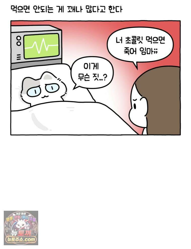 먼지 덩어리 짱덕 27． 고양이 주의사항 7