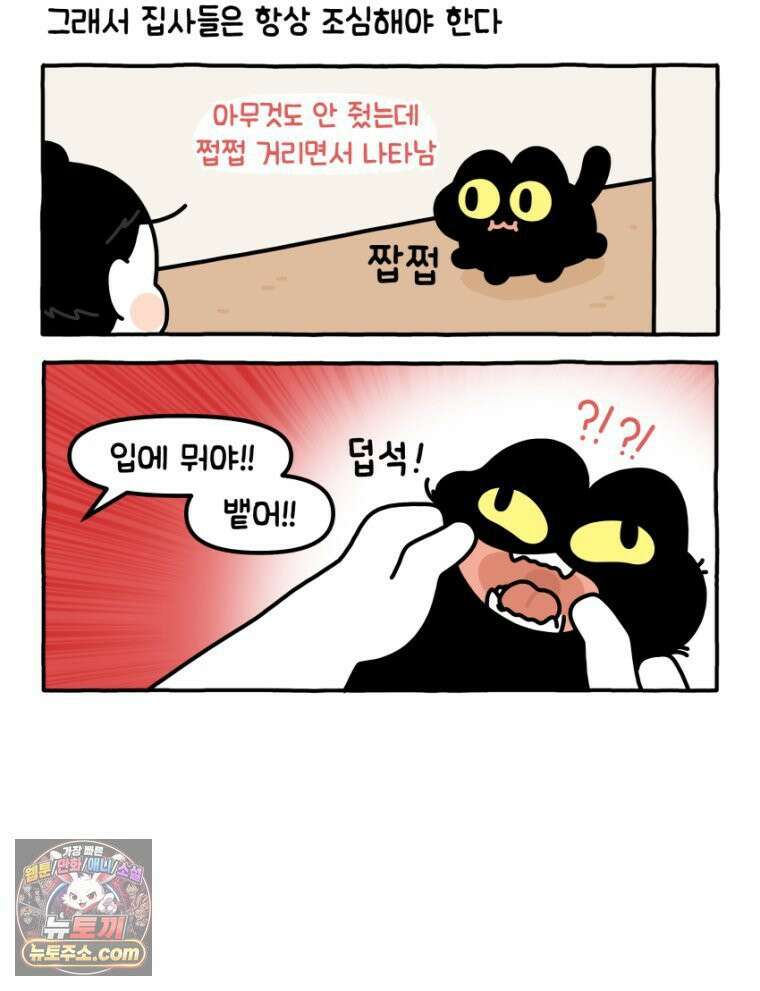 먼지 덩어리 짱덕 27． 고양이 주의사항 8