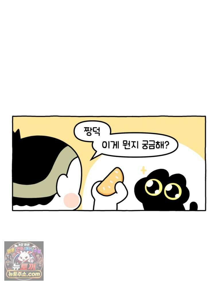 먼지 덩어리 짱덕 27． 고양이 주의사항 11