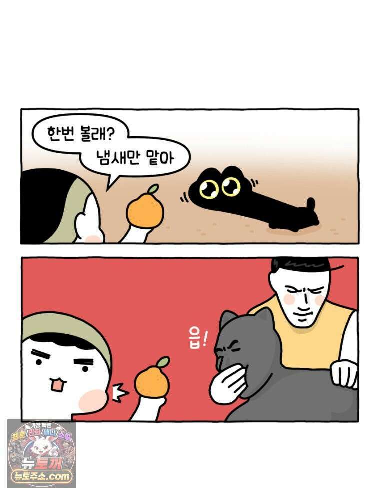 먼지 덩어리 짱덕 27． 고양이 주의사항 12