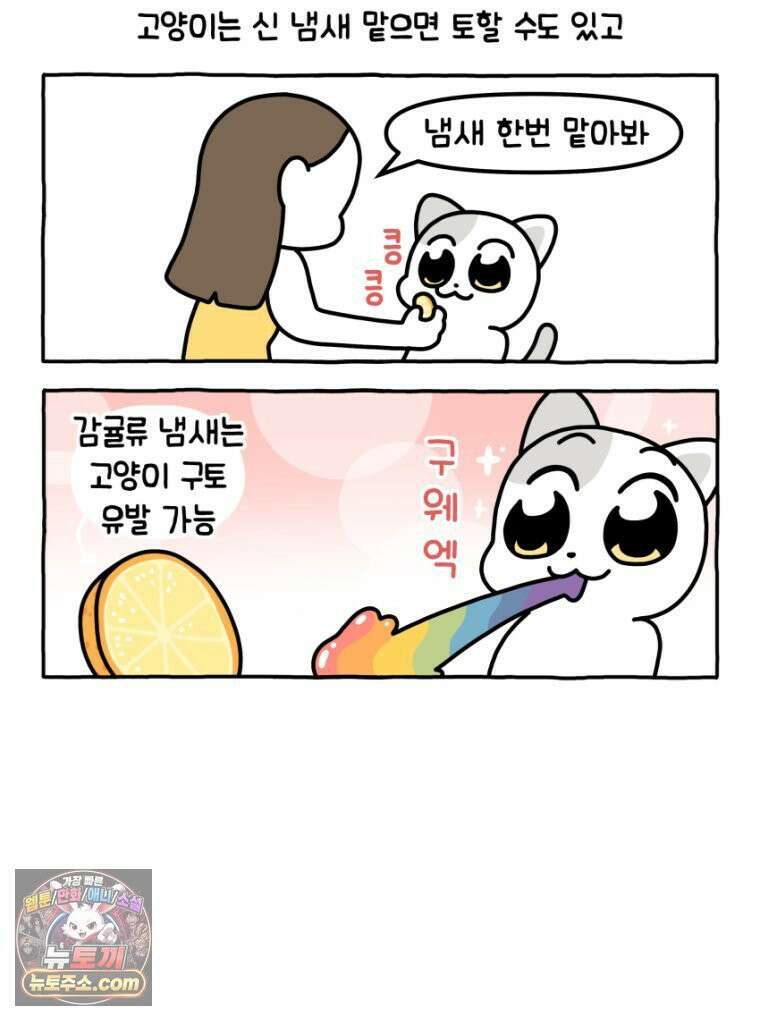 먼지 덩어리 짱덕 27． 고양이 주의사항 15
