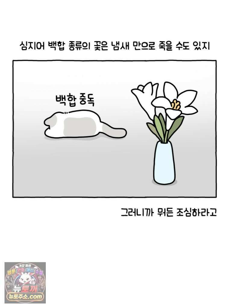 먼지 덩어리 짱덕 27． 고양이 주의사항 16