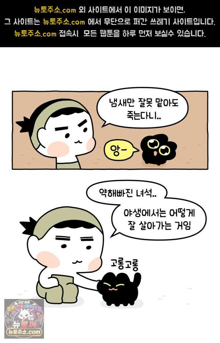 먼지 덩어리 짱덕 27． 고양이 주의사항 17