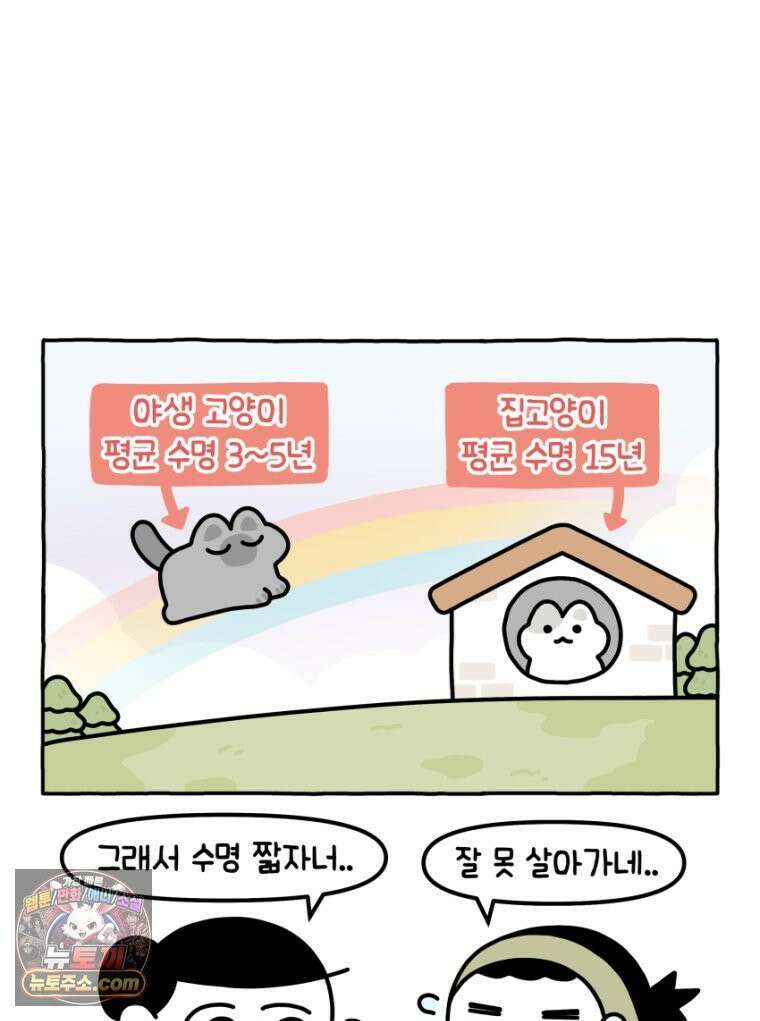 먼지 덩어리 짱덕 27． 고양이 주의사항 18