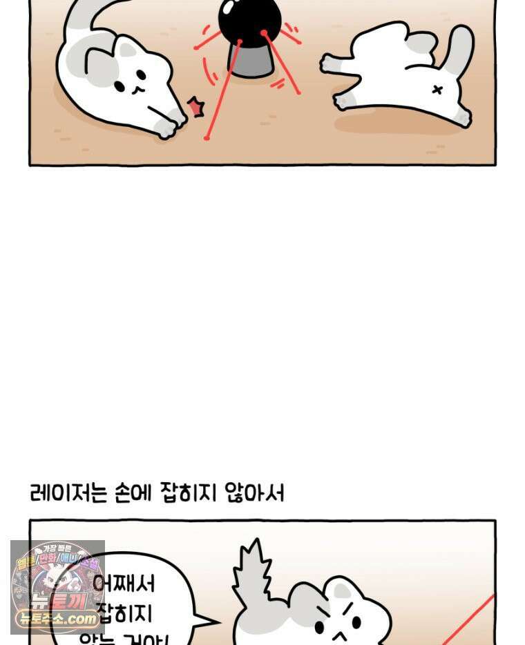 먼지 덩어리 짱덕 27． 고양이 주의사항 26