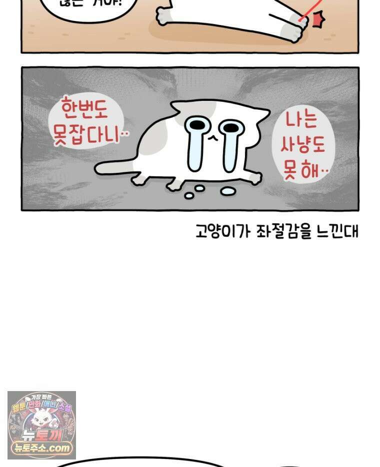 먼지 덩어리 짱덕 27． 고양이 주의사항 27
