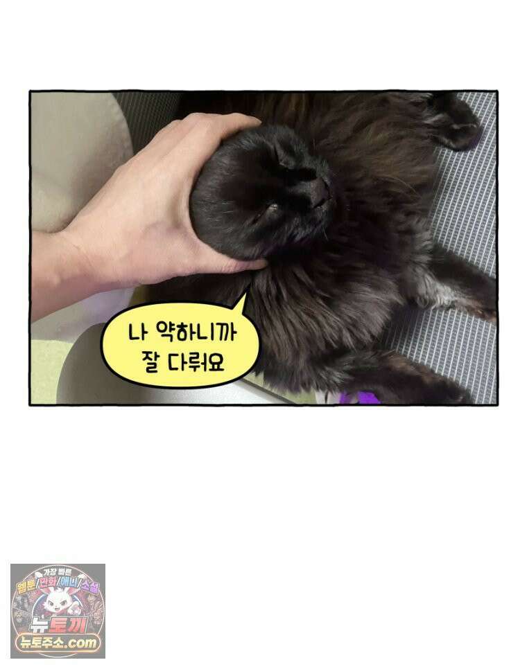 먼지 덩어리 짱덕 27． 고양이 주의사항 32