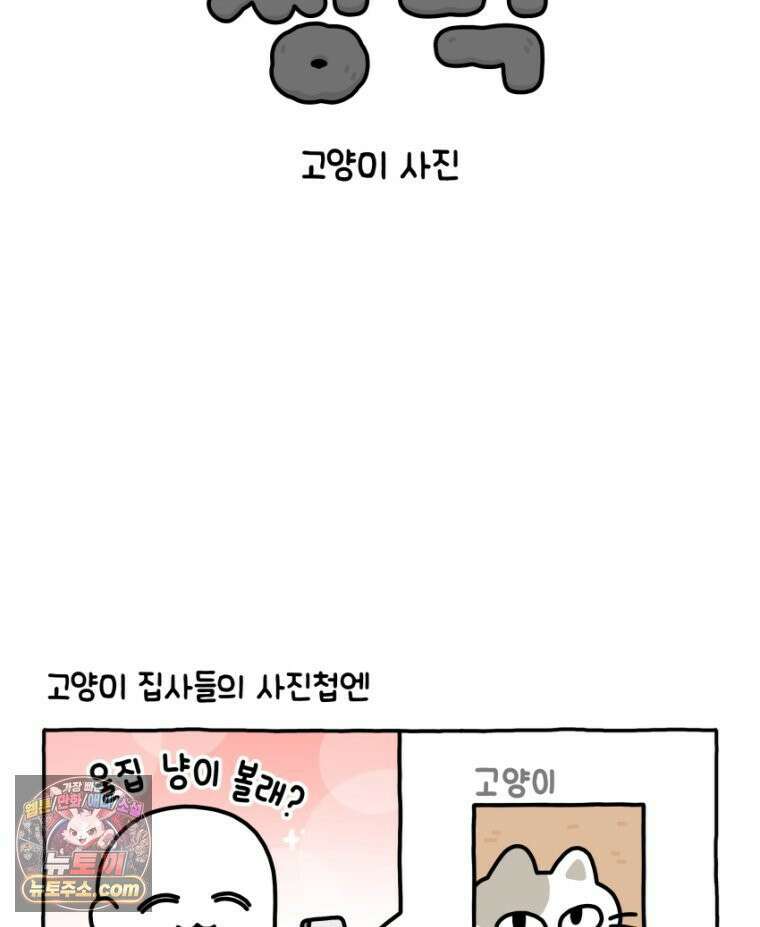 먼지 덩어리 짱덕 34． 고양이 사진 2