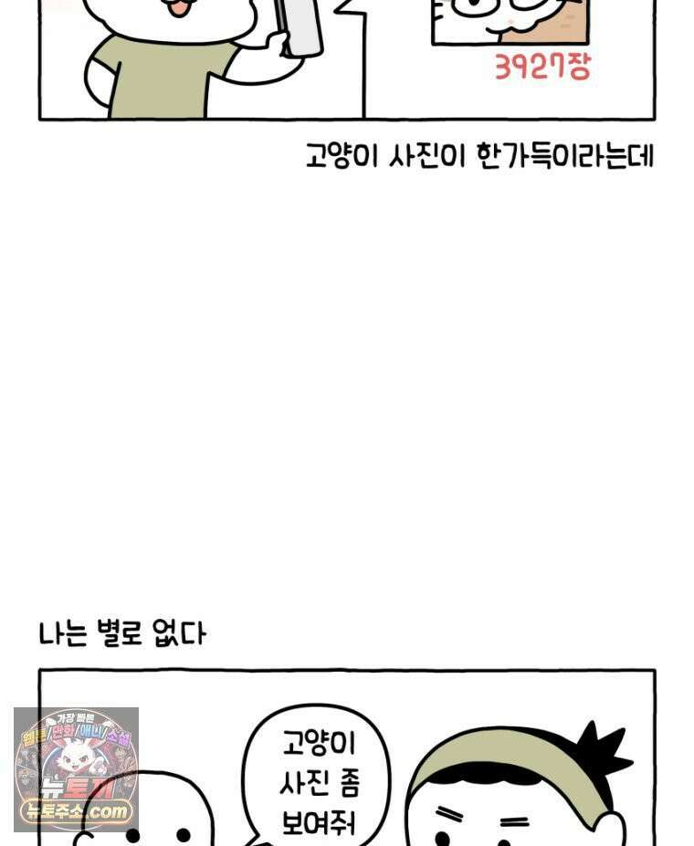 먼지 덩어리 짱덕 34． 고양이 사진 3