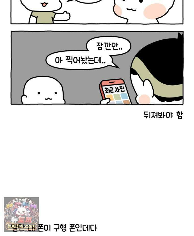 먼지 덩어리 짱덕 34． 고양이 사진 4