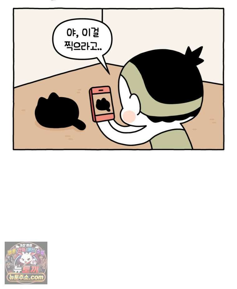 먼지 덩어리 짱덕 34． 고양이 사진 7