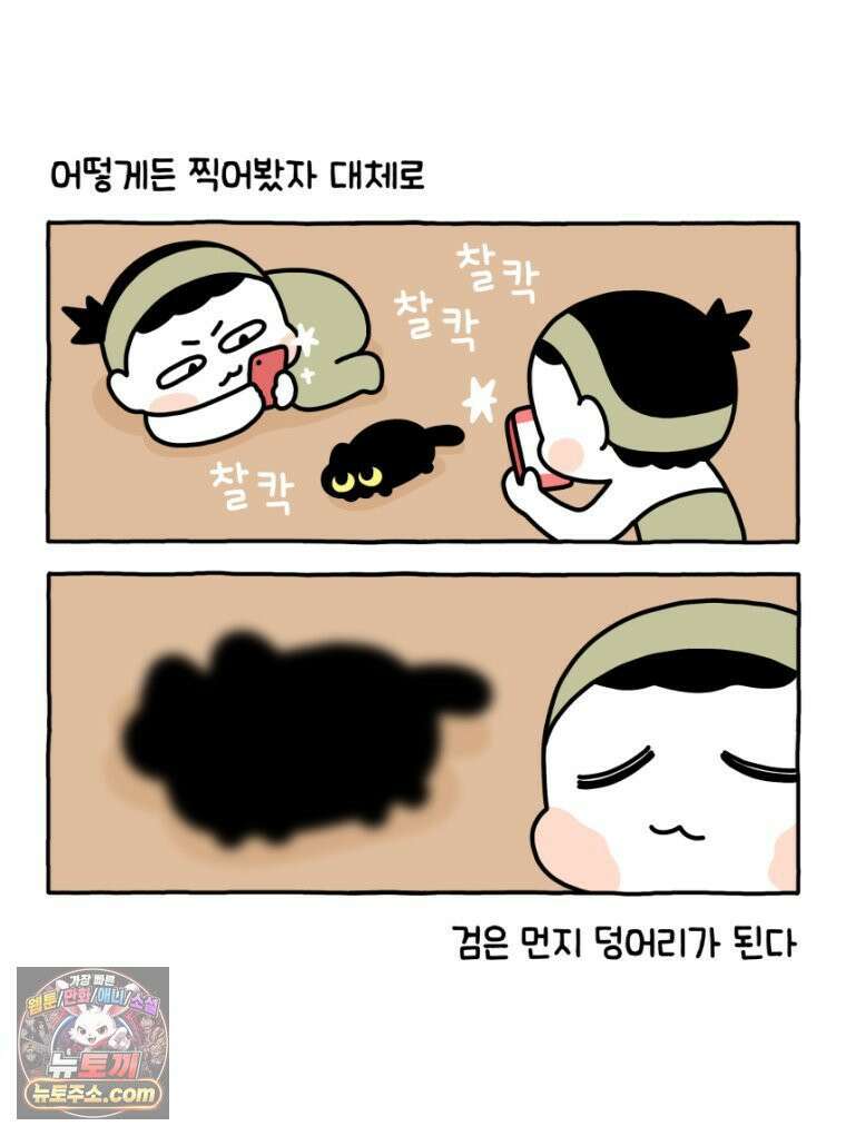먼지 덩어리 짱덕 34． 고양이 사진 9