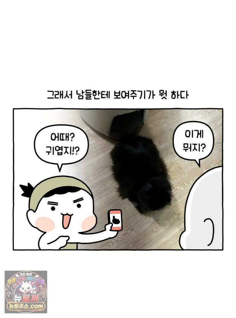 먼지 덩어리 짱덕 34． 고양이 사진 10