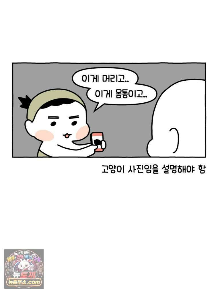먼지 덩어리 짱덕 34． 고양이 사진 11