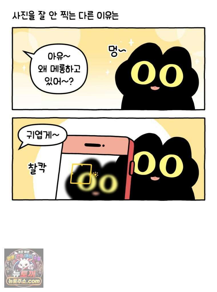 먼지 덩어리 짱덕 34． 고양이 사진 12