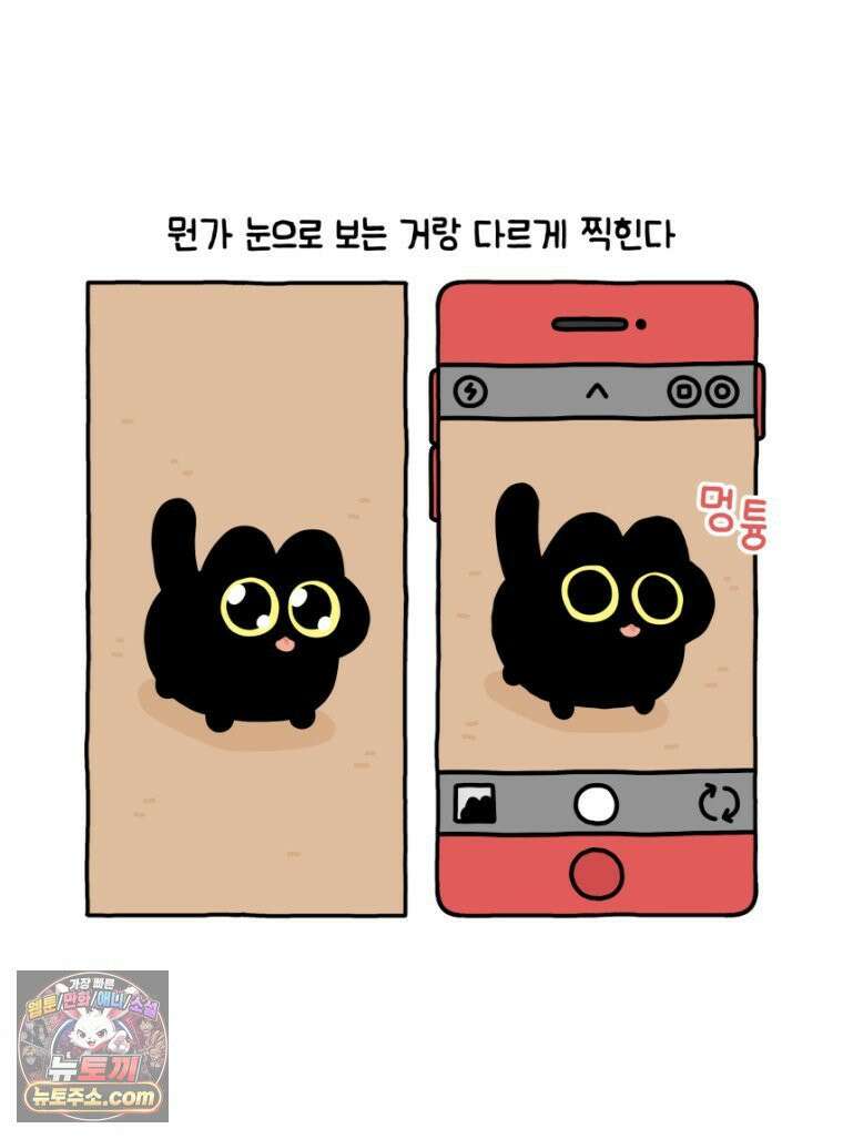 먼지 덩어리 짱덕 34． 고양이 사진 14