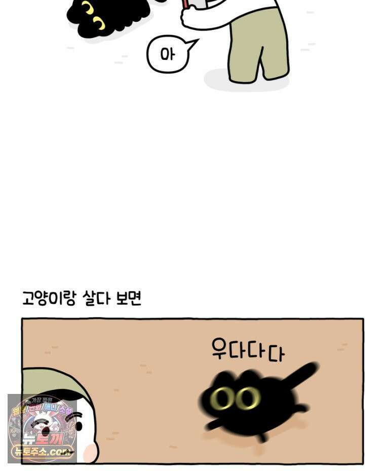 먼지 덩어리 짱덕 34． 고양이 사진 17