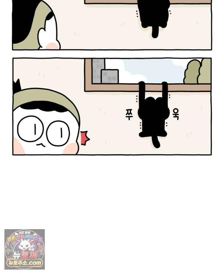 먼지 덩어리 짱덕 34． 고양이 사진 19