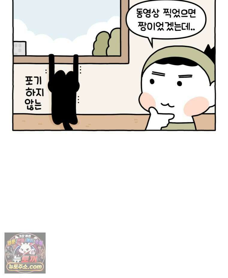 먼지 덩어리 짱덕 34． 고양이 사진 21
