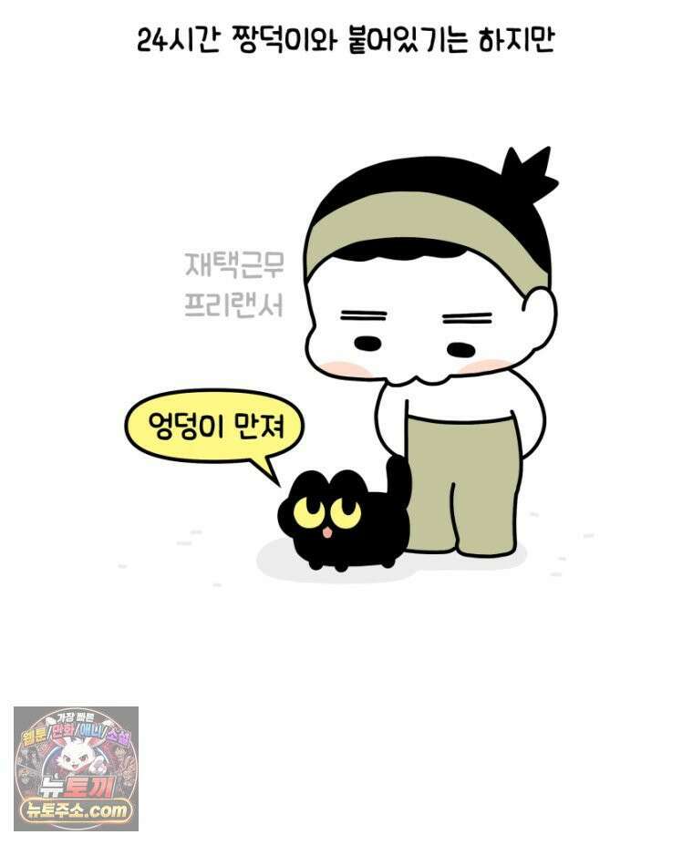 먼지 덩어리 짱덕 34． 고양이 사진 22