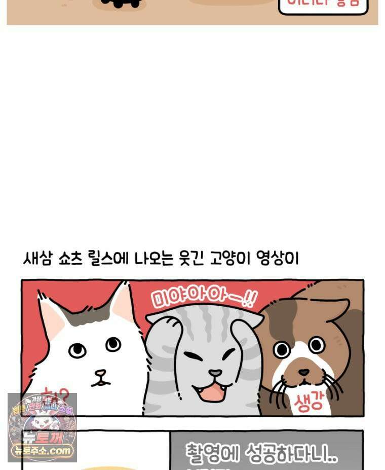 먼지 덩어리 짱덕 34． 고양이 사진 24