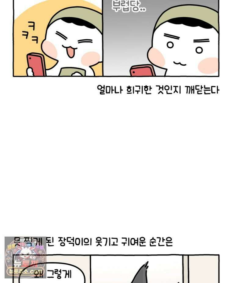 먼지 덩어리 짱덕 34． 고양이 사진 25