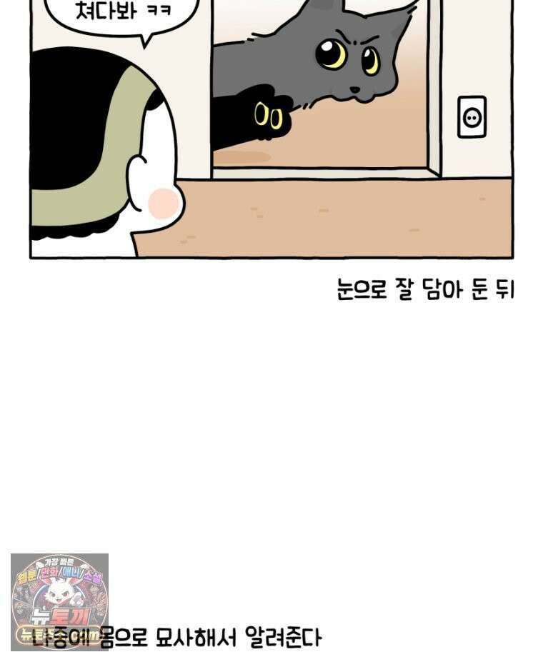 먼지 덩어리 짱덕 34． 고양이 사진 26