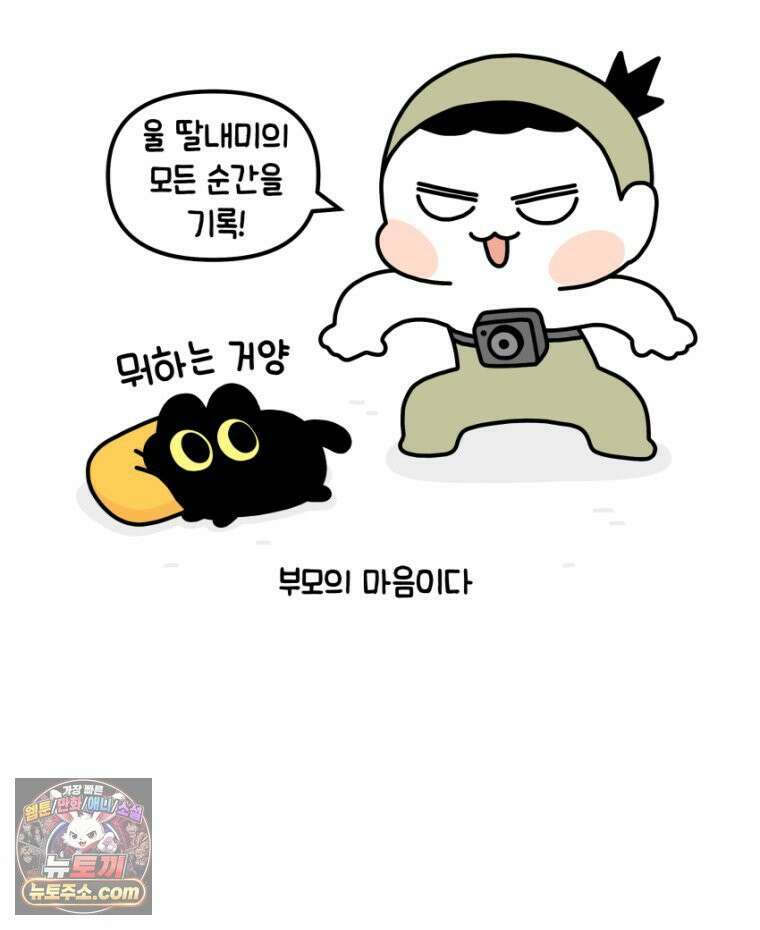 먼지 덩어리 짱덕 34． 고양이 사진 28