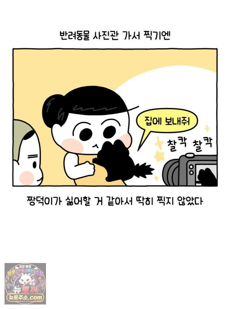 먼지 덩어리 짱덕 34． 고양이 사진 30