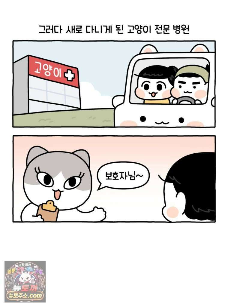 먼지 덩어리 짱덕 34． 고양이 사진 31