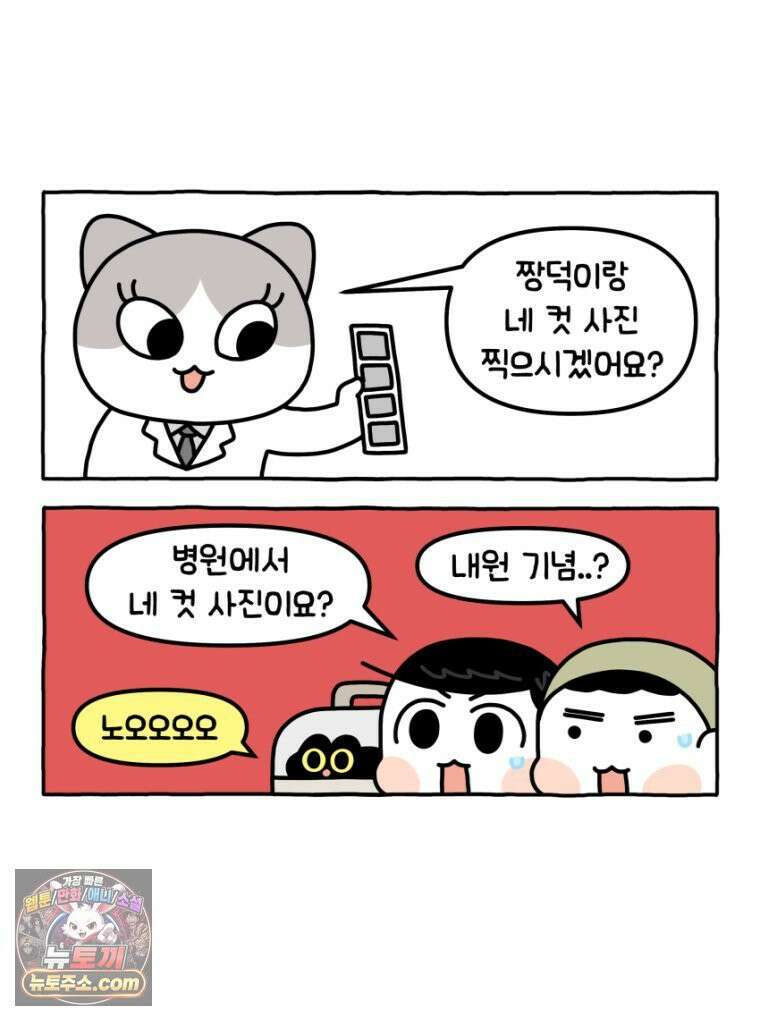 먼지 덩어리 짱덕 34． 고양이 사진 32
