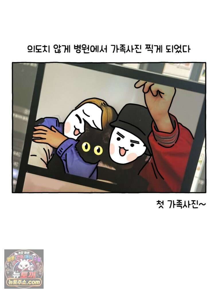 먼지 덩어리 짱덕 34． 고양이 사진 34