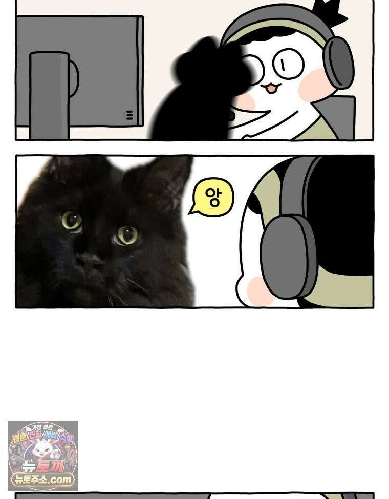 먼지 덩어리 짱덕 41． 관심 주세요 2