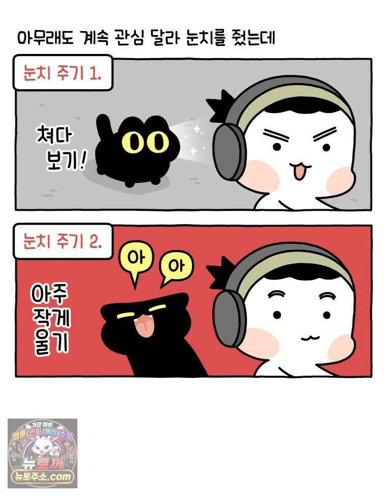 먼지 덩어리 짱덕 41． 관심 주세요 5