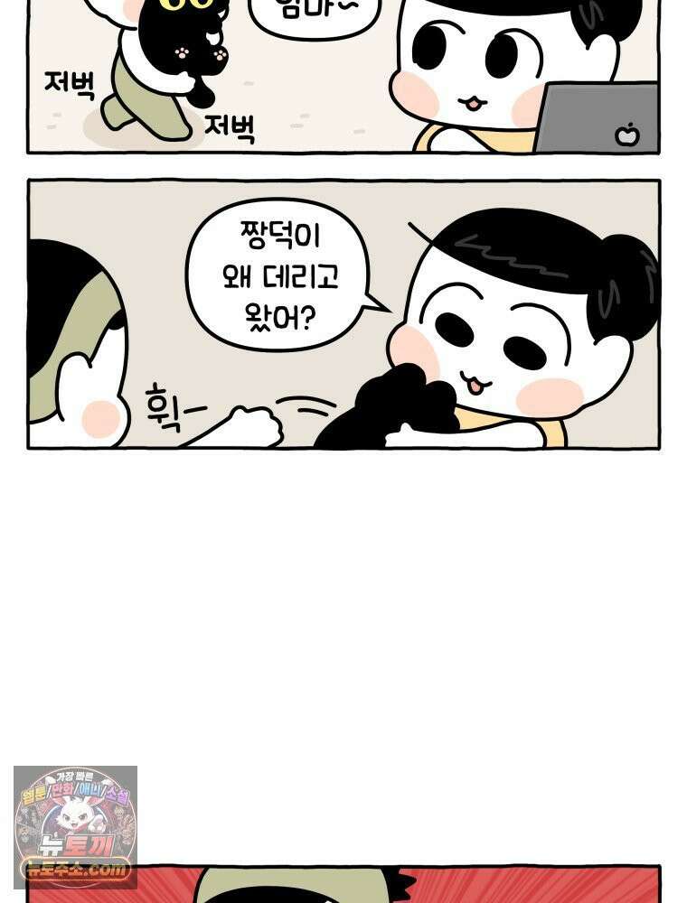 먼지 덩어리 짱덕 41． 관심 주세요 18