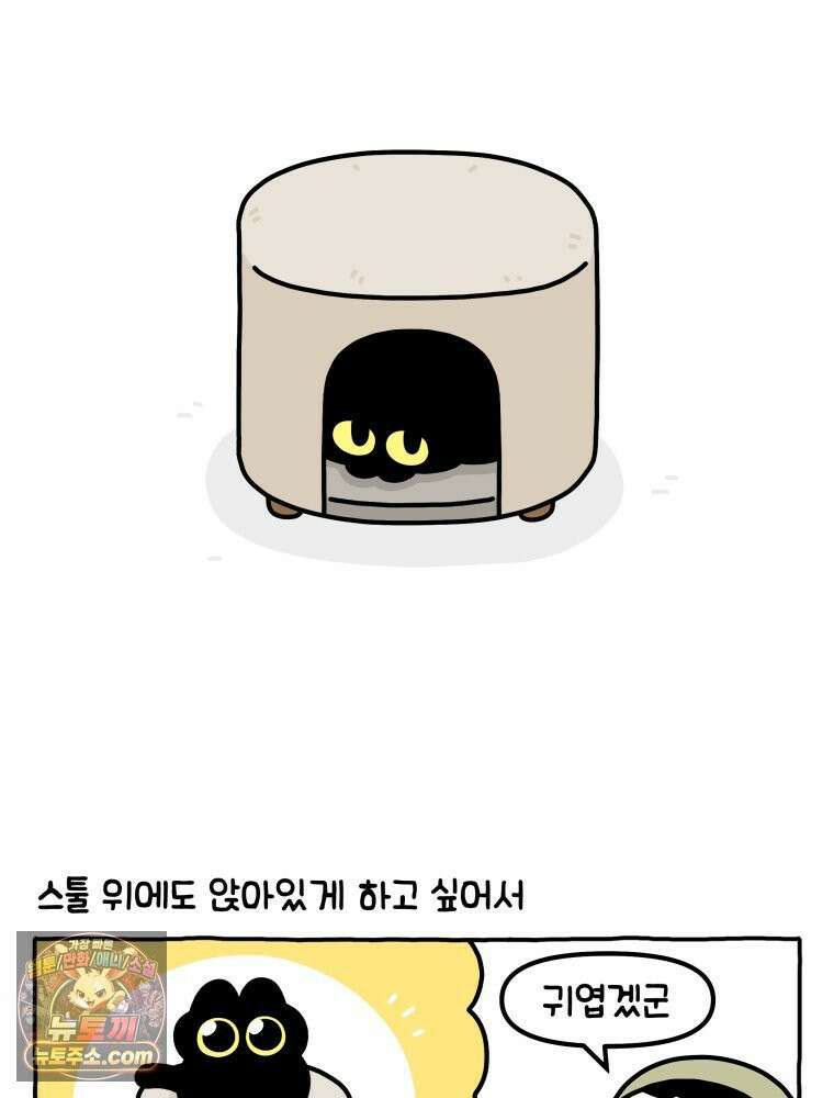 먼지 덩어리 짱덕 41． 관심 주세요 20