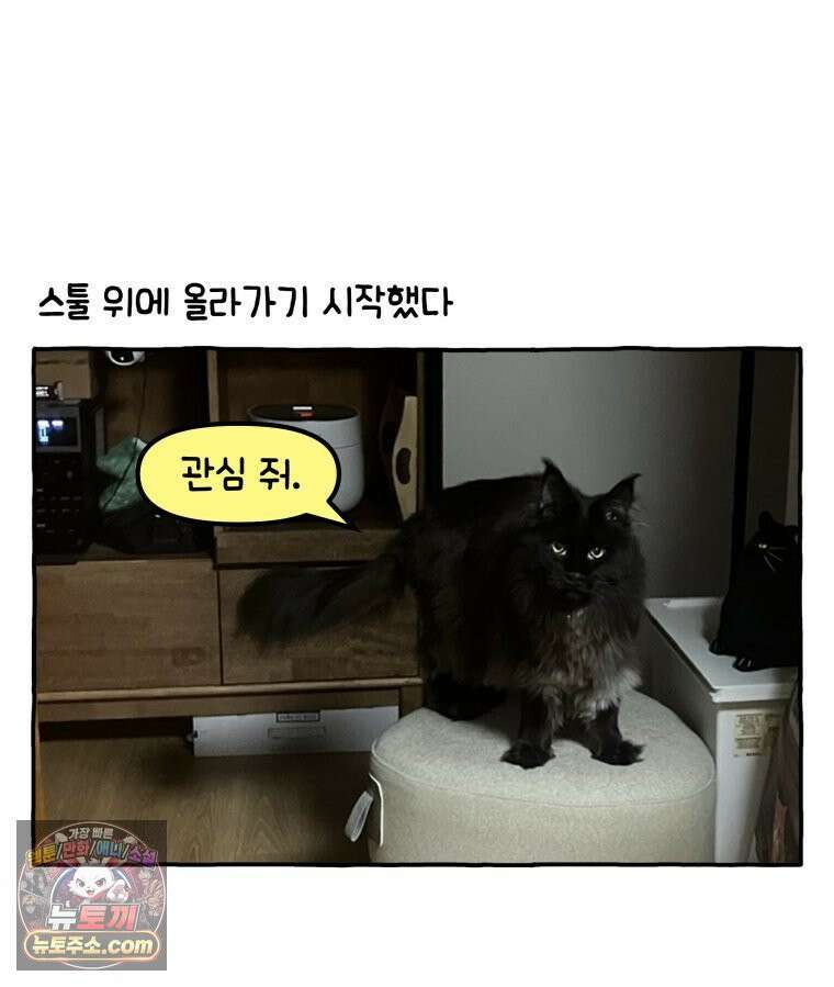 먼지 덩어리 짱덕 41． 관심 주세요 23