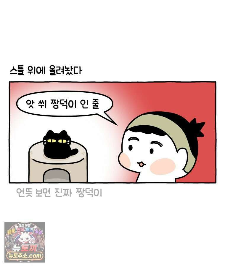 먼지 덩어리 짱덕 41． 관심 주세요 26