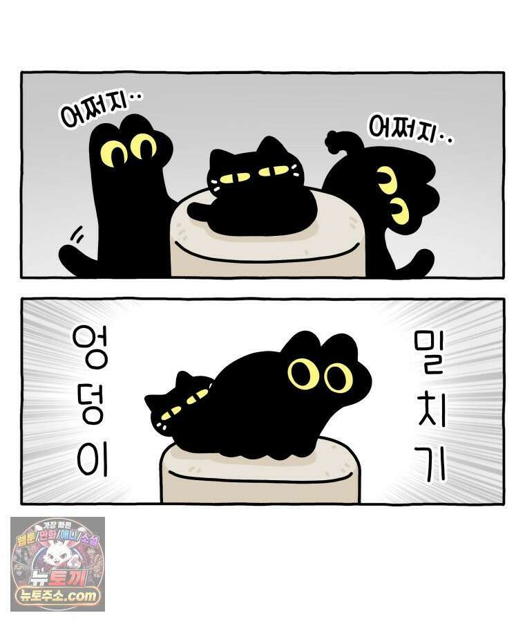 먼지 덩어리 짱덕 41． 관심 주세요 28