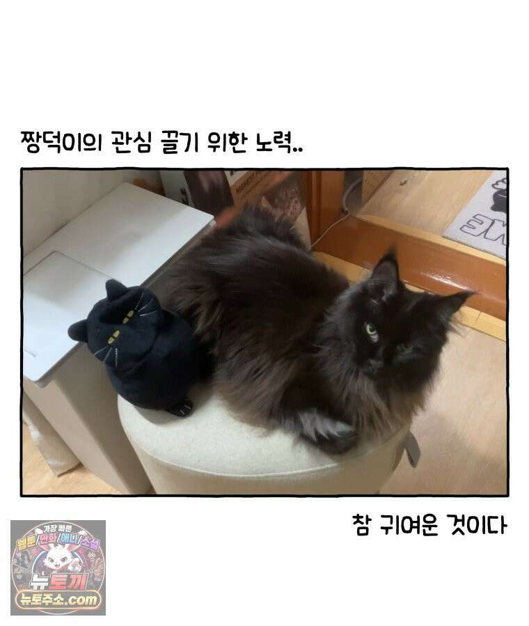 먼지 덩어리 짱덕 41． 관심 주세요 29