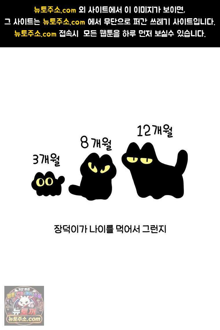 먼지 덩어리 짱덕 47． 합체 장난감 1