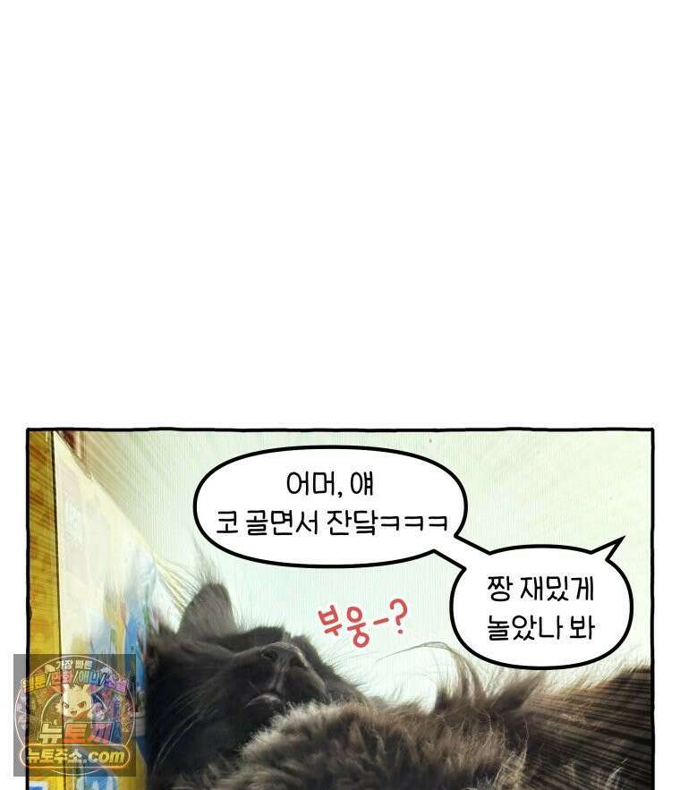 먼지 덩어리 짱덕 47． 합체 장난감 27