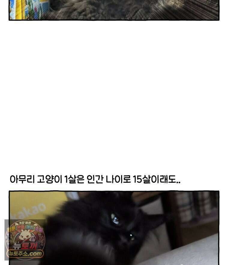 먼지 덩어리 짱덕 47． 합체 장난감 28