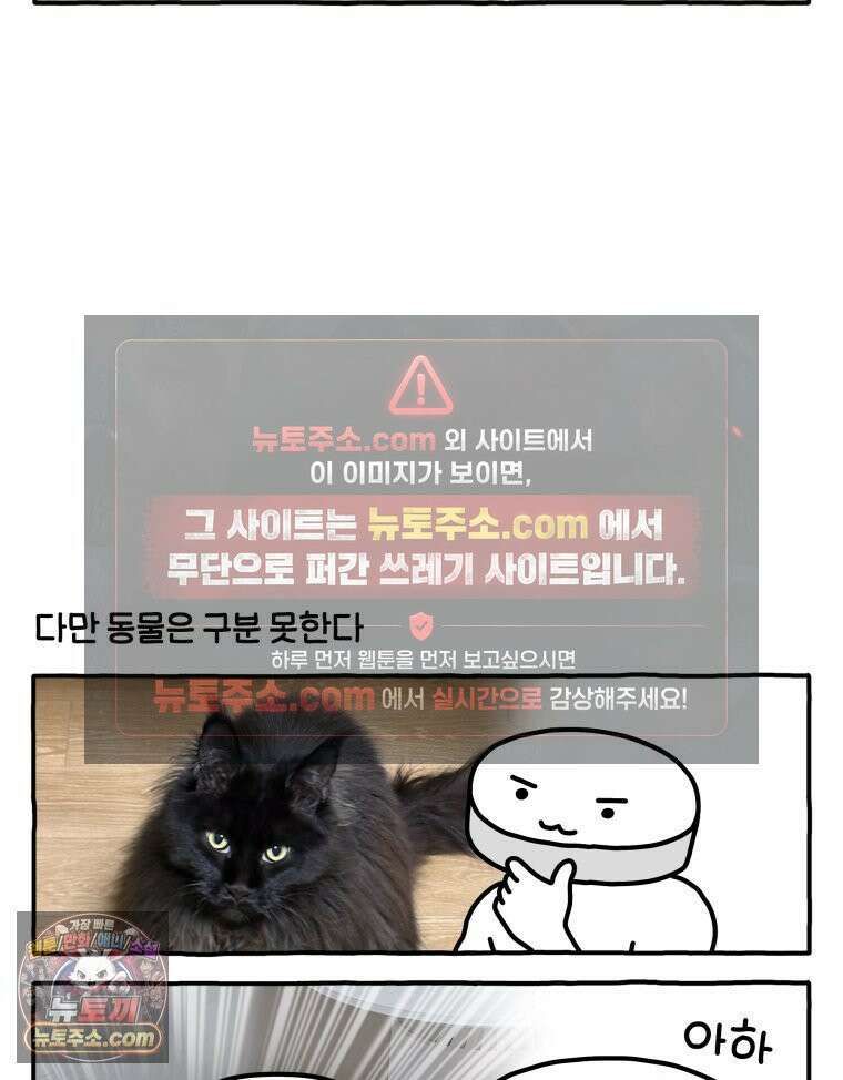 먼지 덩어리 짱덕 52． 로봇 청소기 4