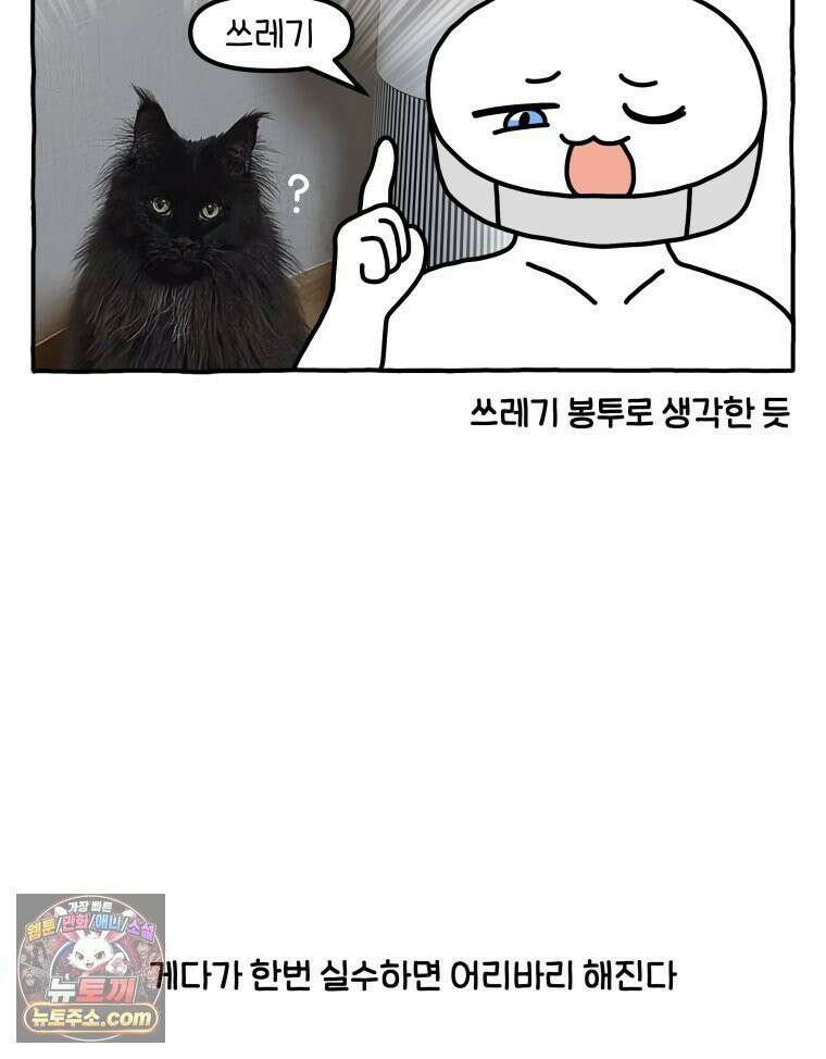 먼지 덩어리 짱덕 52． 로봇 청소기 5