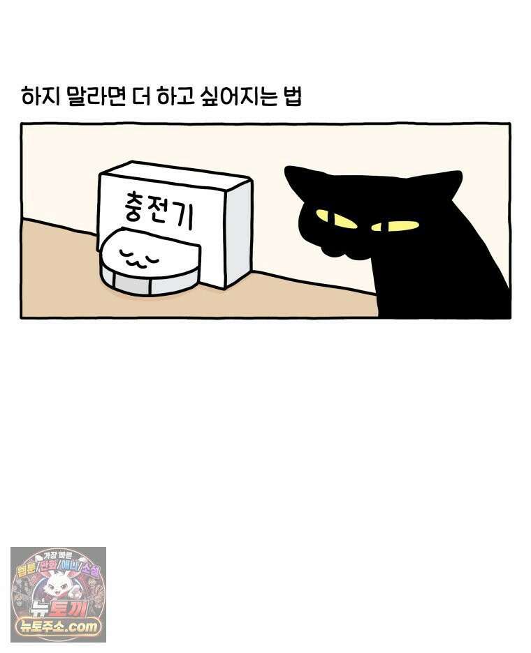 먼지 덩어리 짱덕 52． 로봇 청소기 13