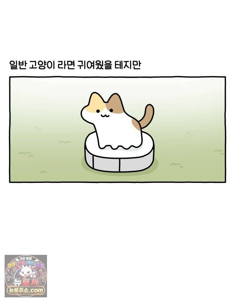 먼지 덩어리 짱덕 52． 로봇 청소기 17