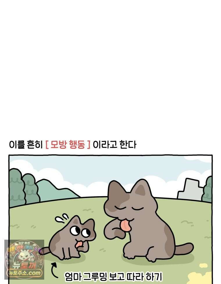 먼지 덩어리 짱덕 57． 모방 행동 4