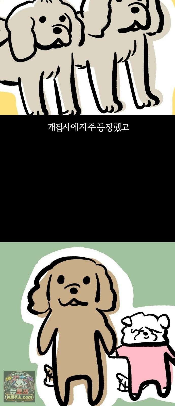 개집사 162화: 알바 일지?견종 특집?-코커스패니얼 편 2