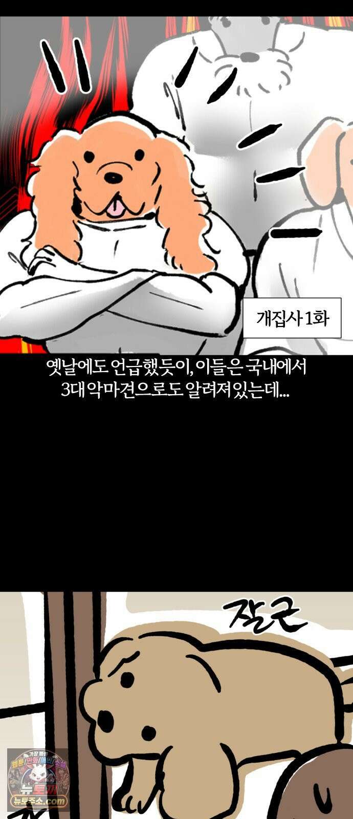 개집사 162화: 알바 일지?견종 특집?-코커스패니얼 편 4